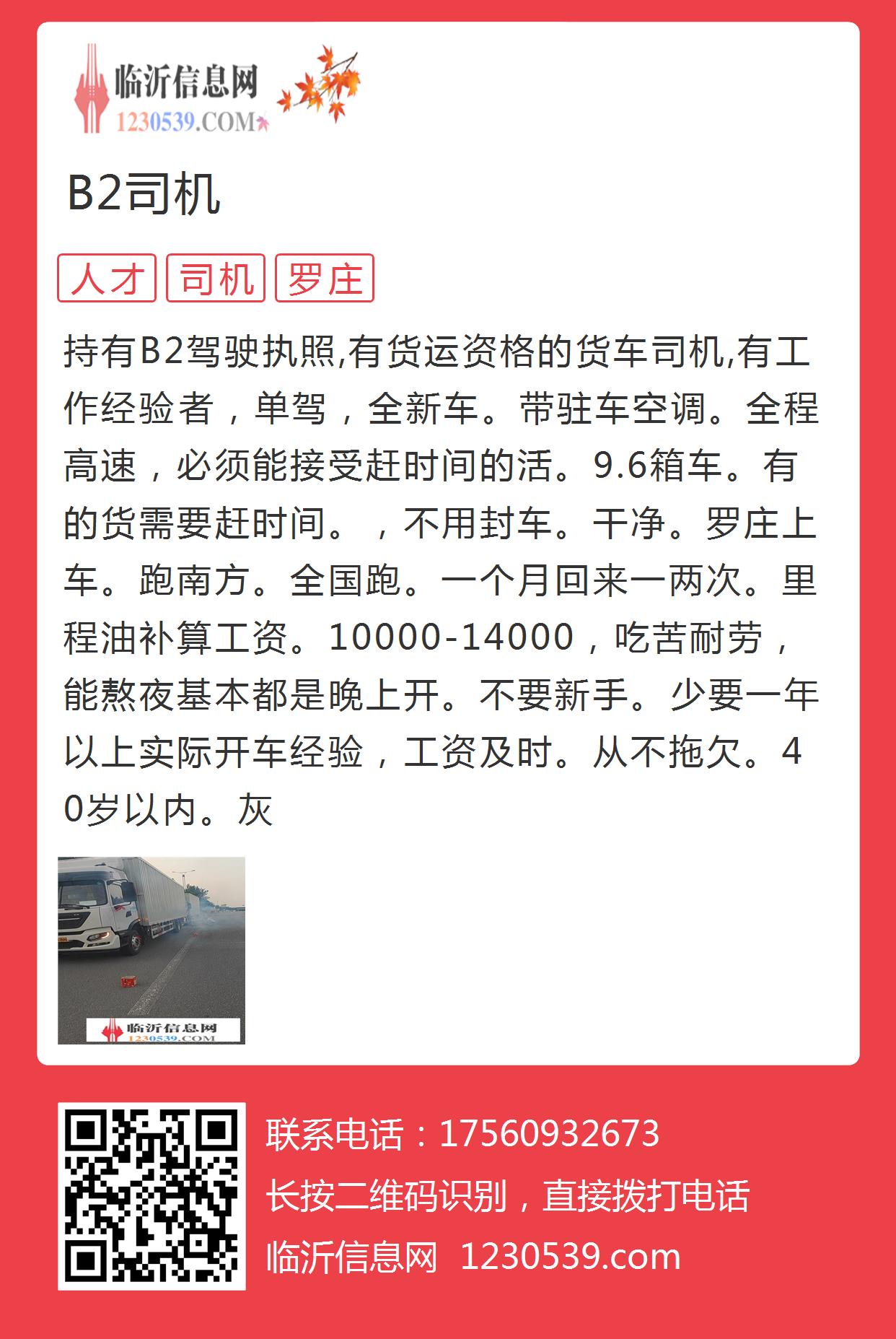 諸城B2最新司機(jī)招聘動(dòng)態(tài)及行業(yè)趨勢(shì)分析，諸城B2司機(jī)招聘最新動(dòng)態(tài)與行業(yè)趨勢(shì)解析
