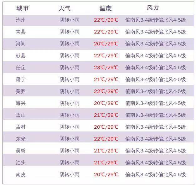 滄州公租房最新消息全面解讀，滄州公租房最新動(dòng)態(tài)全面解析