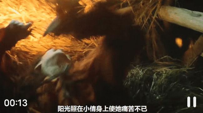 倩女最新區(qū)，探索神秘的游戲世界，倩女最新區(qū)，神秘游戲世界探險之旅
