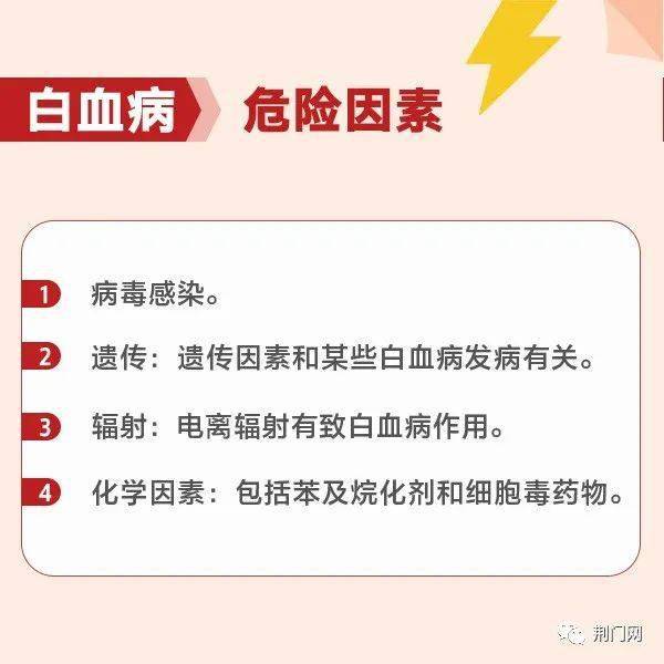 荊門最新招聘求職，探索職業(yè)發(fā)展的無限可能，荊門最新招聘求職信息，探索職業(yè)發(fā)展無限機遇