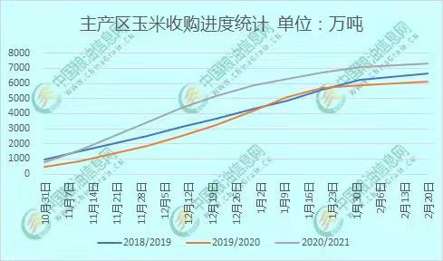 全國玉米價格最新行情分析，全國玉米價格最新行情解析