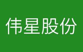 偉星股份最新消息全面解析，偉星股份最新消息全面解讀與分析