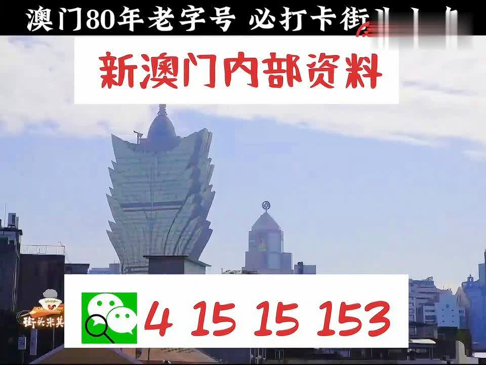 澳門內(nèi)部正版資料大全，揭示違法犯罪問(wèn)題的重要性，澳門內(nèi)部正版資料揭示違法犯罪問(wèn)題的重要性