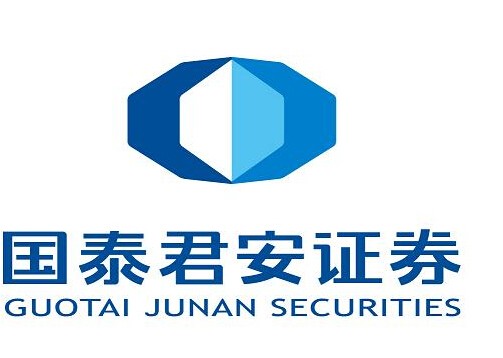 國(guó)泰證券，引領(lǐng)資本市場(chǎng)的卓越力量，國(guó)泰證券，資本市場(chǎng)引領(lǐng)者的卓越力量