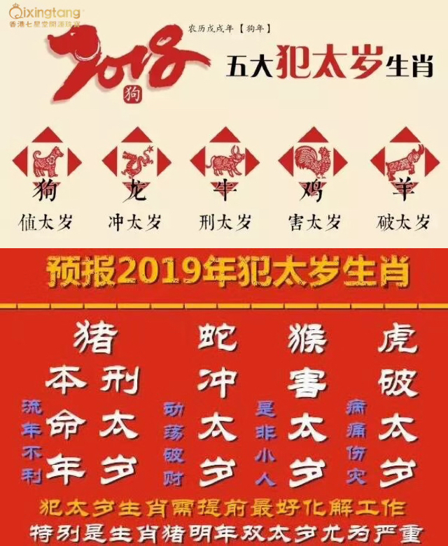 香港今晚必開(kāi)一肖，探索生肖彩票的魅力與預(yù)測(cè)，生肖彩票的魅力探索，香港今晚必開(kāi)一肖的預(yù)測(cè)