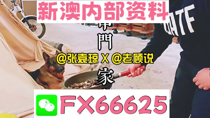 管家婆免費(fèi)資料大全公開，探索與解析，管家婆免費(fèi)資料大全揭秘，探索與解析