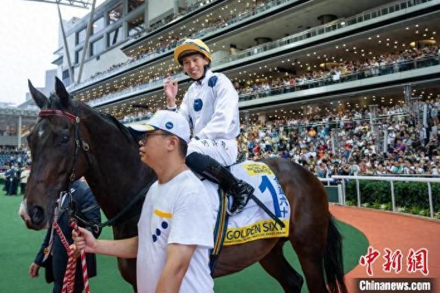 香港特馬王資料免費(fèi)公開(kāi)，揭露違法犯罪問(wèn)題的重要性，香港特馬王資料揭露違法犯罪問(wèn)題的重要性，公開(kāi)資料揭示真相