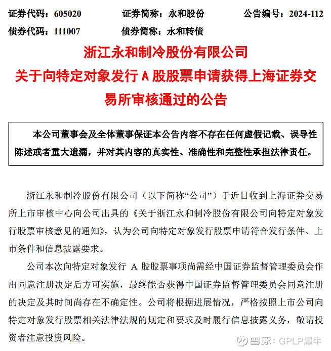 永和股份股票的投資價(jià)值深度解析，永和股份股票投資價(jià)值深度解析與探討