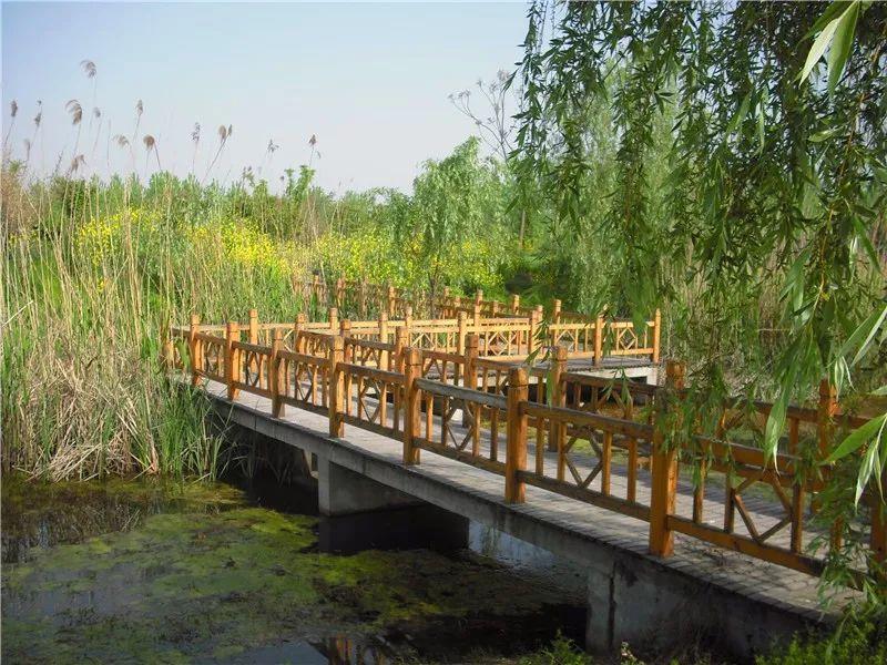 匯洲智能被國(guó)家收購(gòu)了嗎？知乎解析，匯洲智能是否被國(guó)家收購(gòu)？知乎深度解析揭秘答案