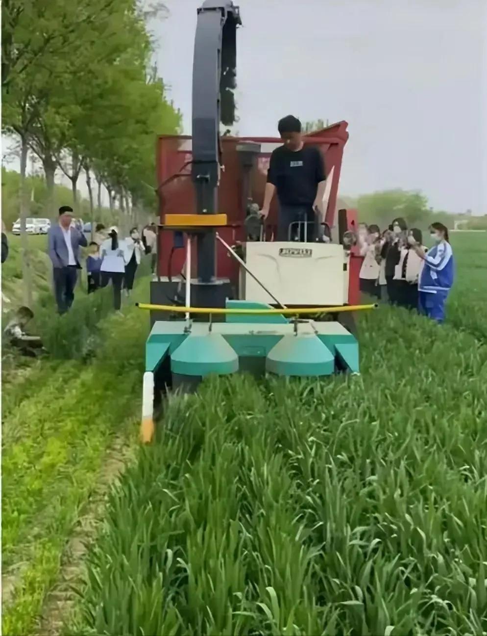 農(nóng)業(yè)股票近期走勢(shì)分析與預(yù)測(cè)，是否會(huì)迎來漲幅？，農(nóng)業(yè)股票近期走勢(shì)分析與預(yù)測(cè)，漲幅是否即將到來？