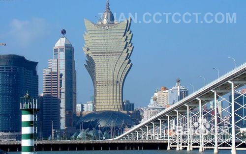 關(guān)于澳門新資料查詢的重要性及其潛在影響，探討違法犯罪問題背后的深層含義與應(yīng)對(duì)策略，澳門新資料查詢的重要性，深層犯罪問題背后的策略與潛在影響探討
