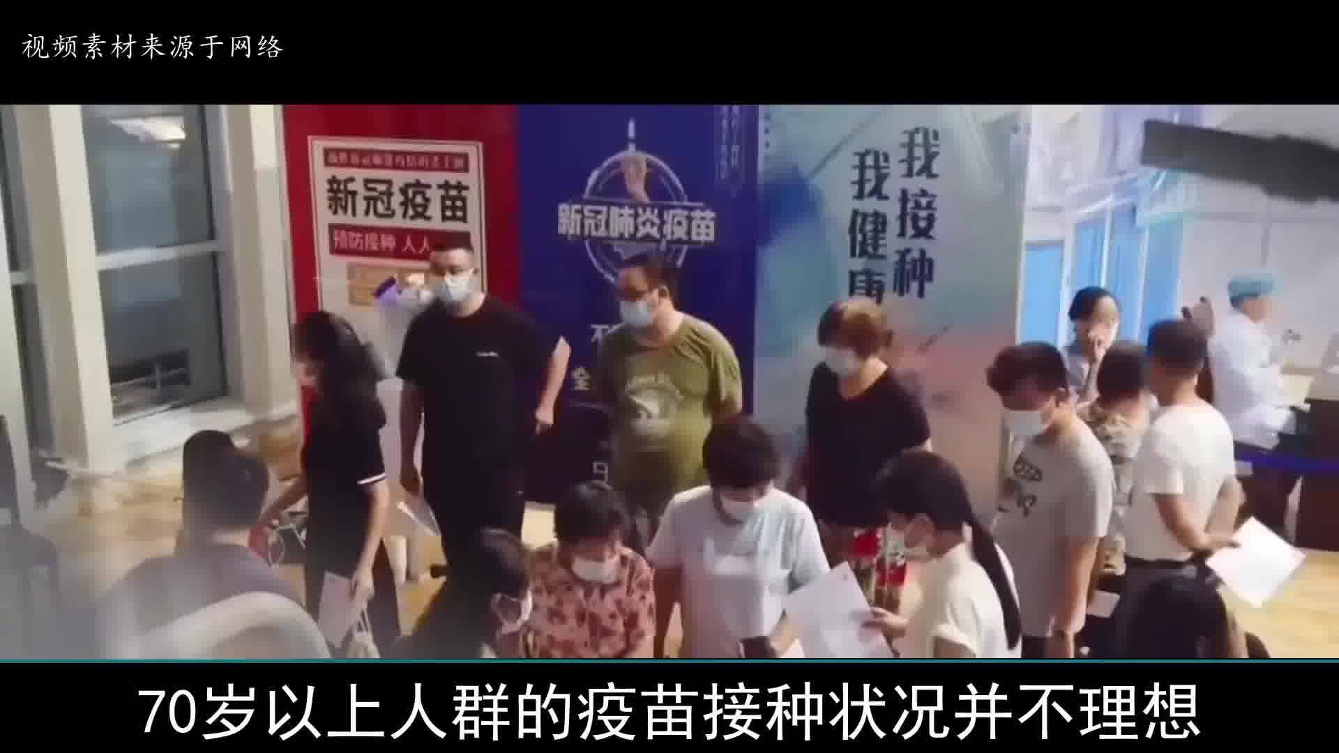 疫情最新育苗消息，全球疫苗研發(fā)進(jìn)展與未來展望，全球疫苗研發(fā)進(jìn)展，最新育苗消息與未來展望