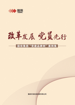 國投集團改革案例，深度探索與啟示，國投集團改革案例深度探索與啟示，啟示與展望