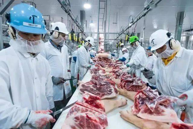 疫情肺炎全球最新動(dòng)態(tài)分析，全球疫情肺炎最新動(dòng)態(tài)分析摘要