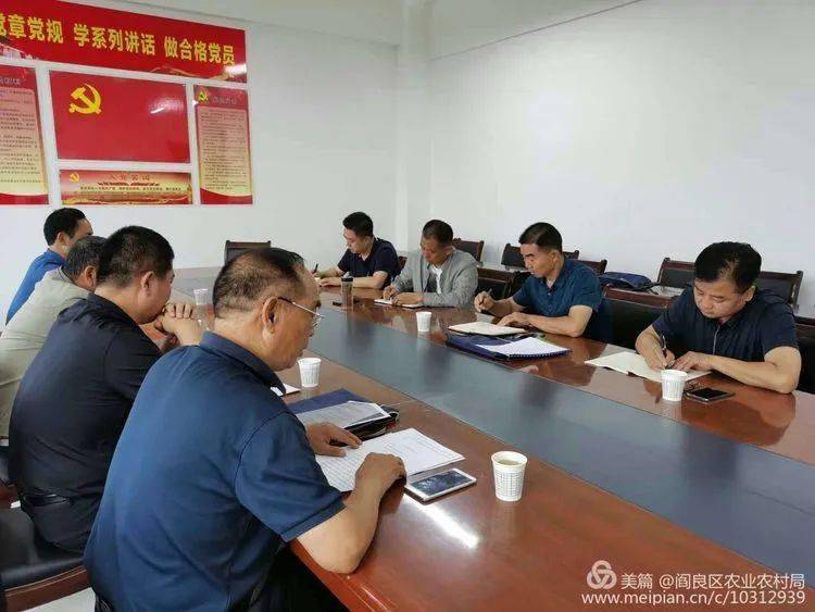 閻良區(qū)最新常委概述，閻良區(qū)最新常委概況概述