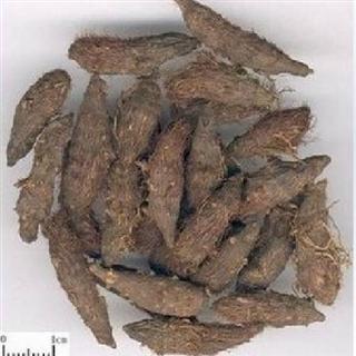 關(guān)于香附最新價(jià)格的研究與探討，香附最新價(jià)格的研究分析