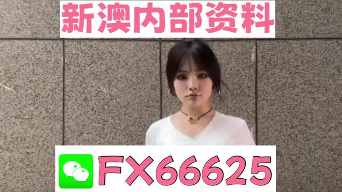 澳門正版資料大全與犯罪違法問題探討，澳門正版資料與犯罪違法問題深度探討