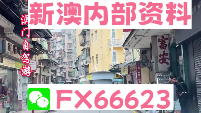 新澳正版資料免費(fèi)提供，助力個(gè)人與企業(yè)的成長與發(fā)展，新澳正版資料助力成長與發(fā)展，個(gè)人與企業(yè)的免費(fèi)資源寶庫