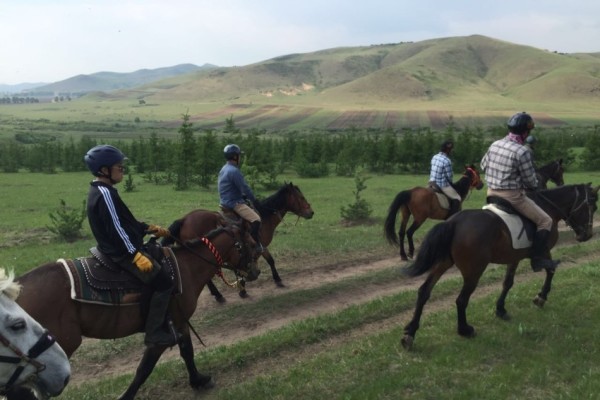 關(guān)于澳門特馬今晚開獎的討論與警示，澳門特馬今晚開獎討論及警示