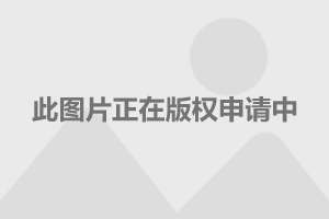 電視劇護心演員表深度解析，電視劇護心演員表深度解析與角色剖析