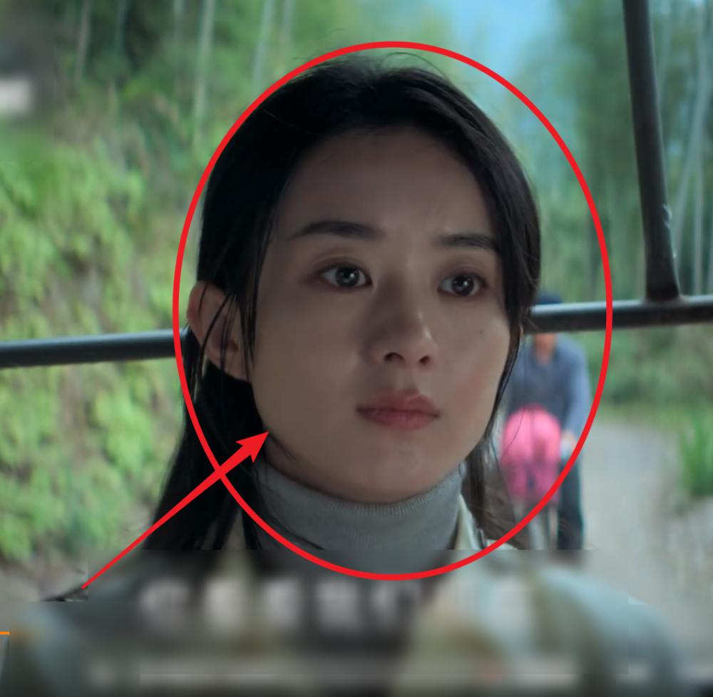 趙麗穎，中國電視劇界的璀璨明星——推薦她的十部必看電視劇，趙麗穎，中國電視劇界的璀璨明珠——推薦十部必看的電視劇作品
