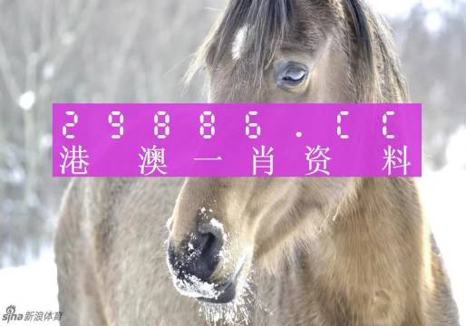 澳門精準一肖一碼，揭示背后的犯罪風(fēng)險與警示公眾的重要性，澳門精準一肖一碼背后的犯罪風(fēng)險與公眾警示重要性揭秘