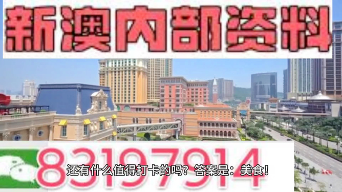 探索未來，解析2024新澳精準(zhǔn)正版資料的重要性與價值，解析2024新澳正版資料，探索未來的價值與重要性