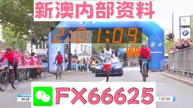 探索新澳精準正版資料，揭秘未來的趨勢與機遇，探索新澳精準正版資料，揭秘未來趨勢與把握機遇