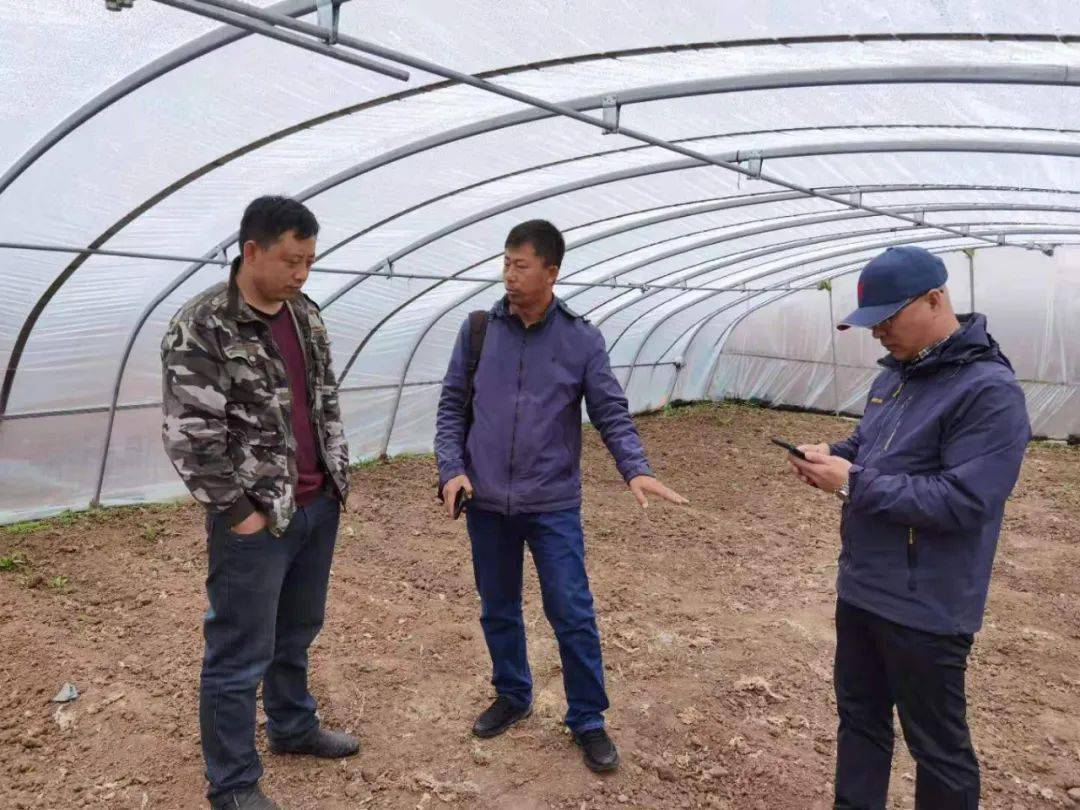新澳門(mén)王中王，揭秘期期中的秘密，揭秘新澳門(mén)王中王期期中的奧秘
