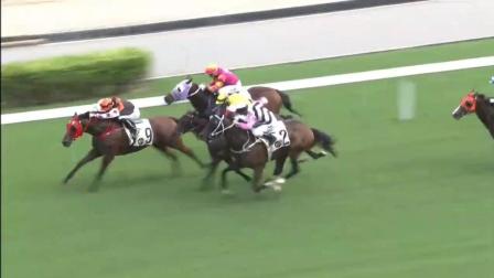 今晚香港開特馬，期待與驚喜交織的時刻，香港特馬開彩驚喜與期待交織的時刻