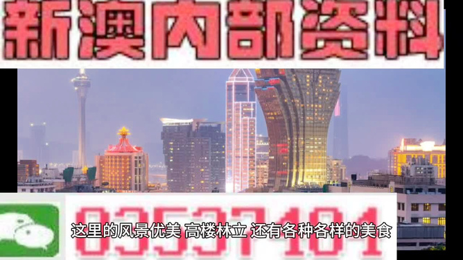 新澳精準(zhǔn)資料免費(fèi)提供，探索第510期的奧秘與價(jià)值，新澳第510期精準(zhǔn)資料探索，奧秘與價(jià)值揭秘