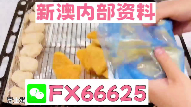 新奧精準(zhǔn)免費(fèi)資料提供，助力企業(yè)決策與成長(zhǎng)的關(guān)鍵資源，新奧精準(zhǔn)免費(fèi)資料，助力企業(yè)決策與成長(zhǎng)的核心資源