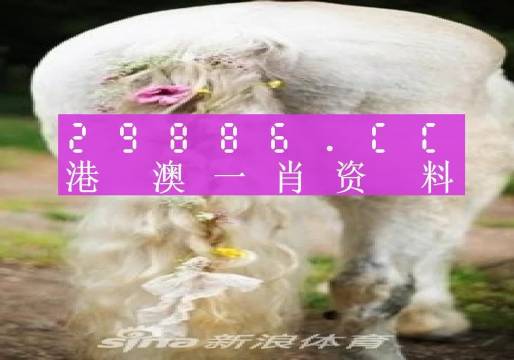 澳門內(nèi)部資料精準(zhǔn)大全2023，揭示背后的風(fēng)險(xiǎn)與挑戰(zhàn)，澳門內(nèi)部資料精準(zhǔn)大全揭秘，風(fēng)險(xiǎn)與挑戰(zhàn)并存于2023年
