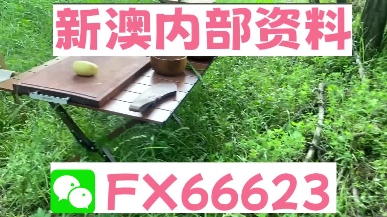 新澳天天開獎資料大全與旅游攻略詳解，新澳天天開獎資料及旅游攻略詳解大全