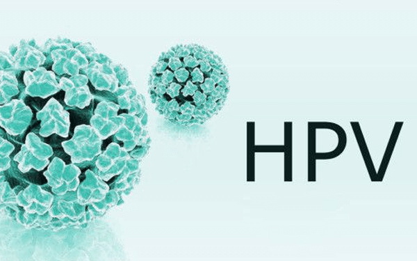 感染HPV是否會(huì)一輩子反反復(fù)復(fù)？解析HPV感染與我們的健康，HPV感染會(huì)反復(fù)發(fā)生嗎？解析HPV感染與健康關(guān)系