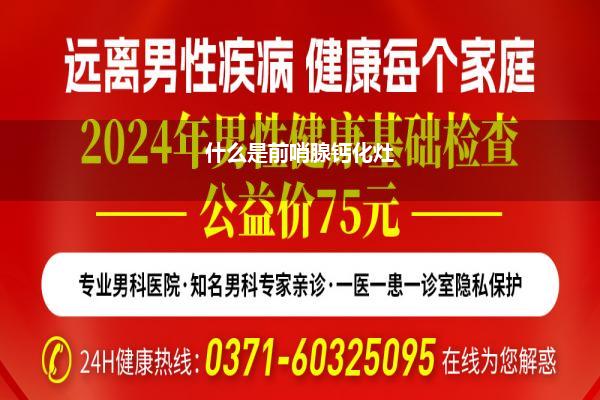 男性健康網(wǎng)上咨詢，探索新時代健康之路，男性健康網(wǎng)上咨詢，探索新時代的健康之路