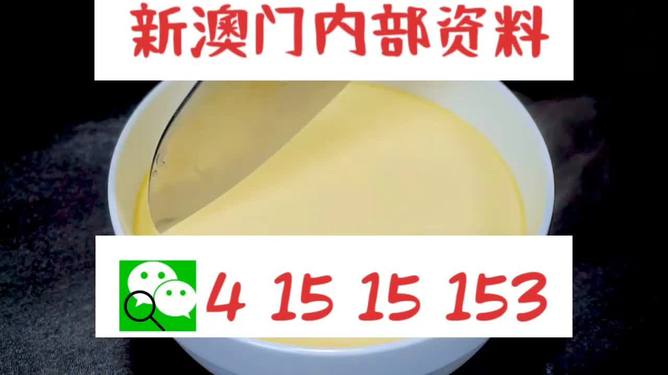 新澳一肖一馬，探索與解讀，新澳一肖一馬的探索與解讀