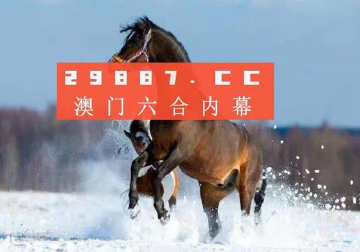 澳門一一碼一特一中準(zhǔn)選今晚，探索澳門的魅力與未來(lái)，澳門魅力與未來(lái)探索，今晚一一碼一特一中準(zhǔn)選揭曉