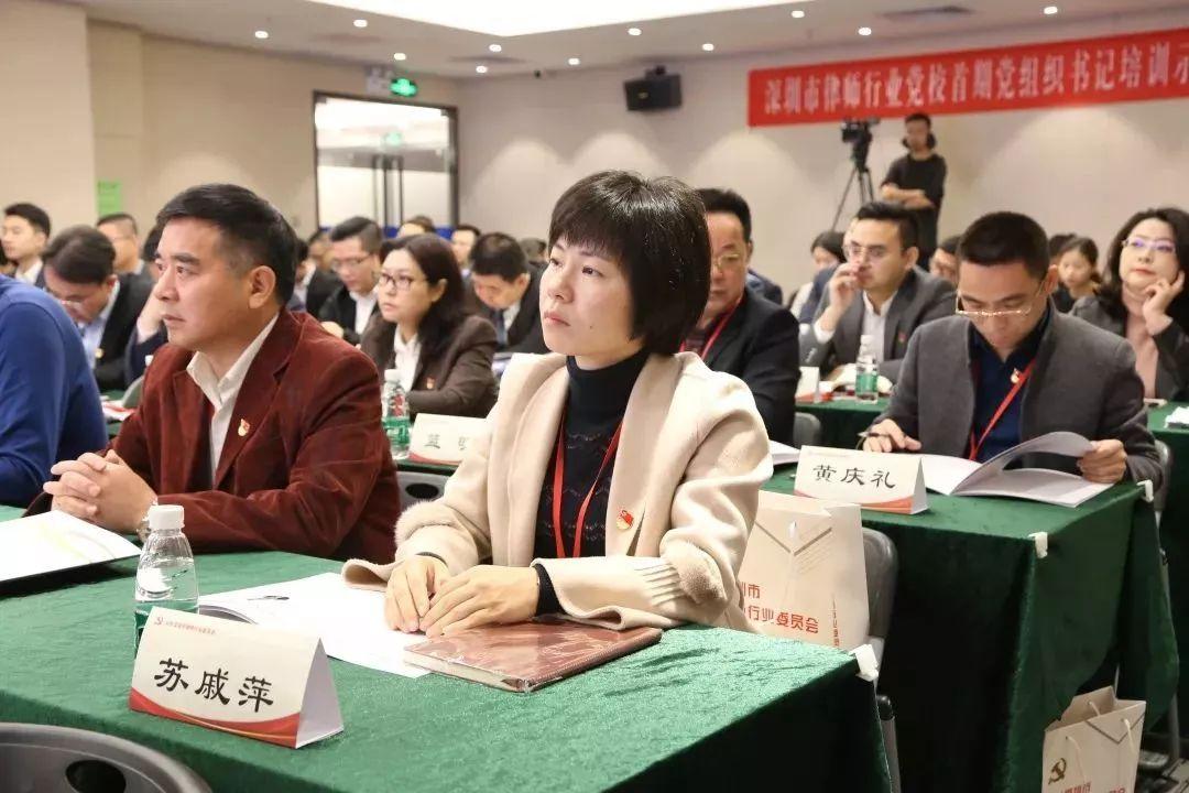 深圳律師服務(wù)，專業(yè)、高效、全方位的法務(wù)支持，深圳專業(yè)、高效、全方位的律師服務(wù)法務(wù)支持