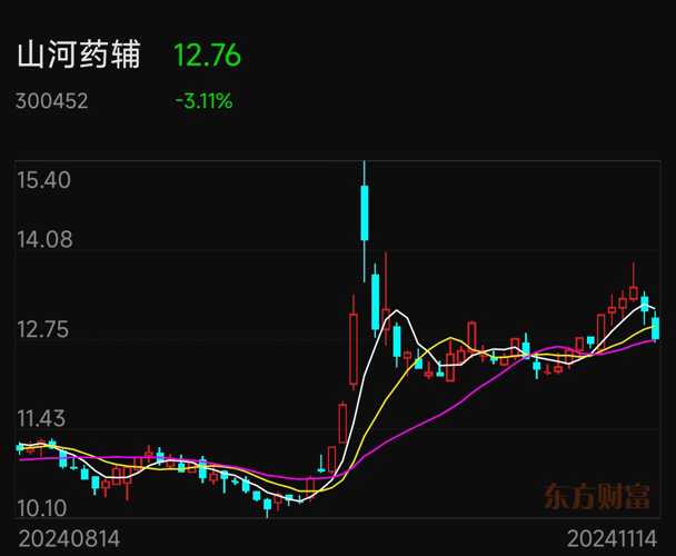 山河藥輔股票，投資潛力與市場(chǎng)前景分析，山河藥輔股票投資潛力與市場(chǎng)前景深度解析