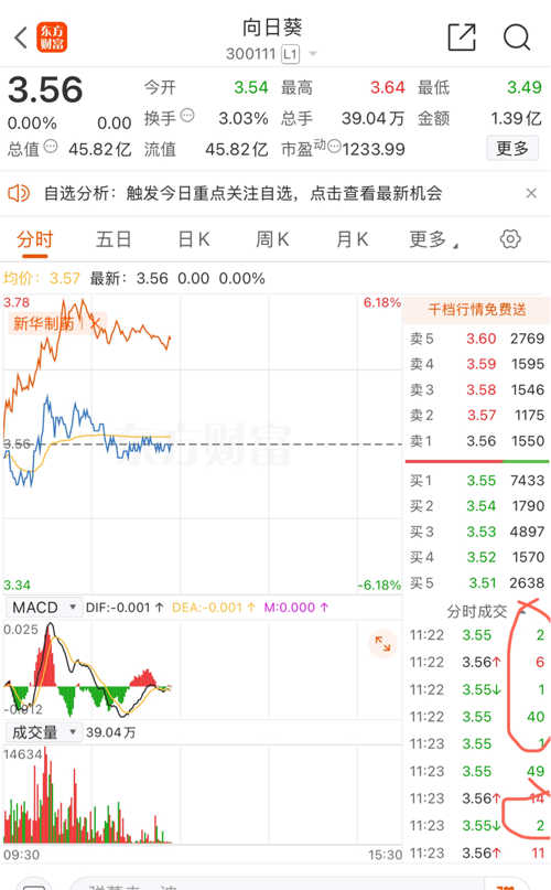 探索300111向日葵股吧的獨特魅力，揭秘300111向日葵股吧的獨特魅力與吸引力