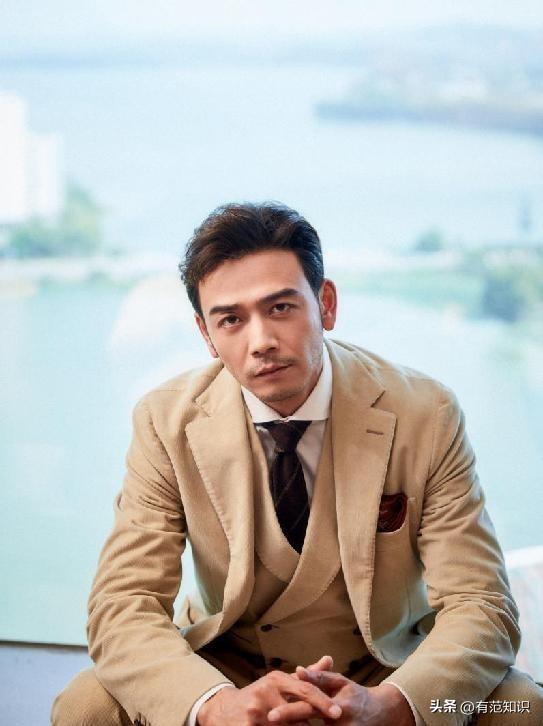 楊爍十部必看電視劇，演技與魅力的獨(dú)特展現(xiàn)，楊爍演技與魅力的獨(dú)特展現(xiàn)，十部必看電視劇推薦
