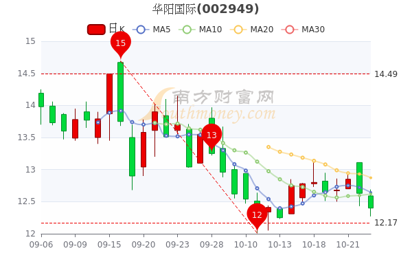 華陽國(guó)際股票，投資潛力與市場(chǎng)前景分析，華陽國(guó)際股票，投資潛力與市場(chǎng)前景深度解析